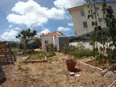 Luie Lepki - Chicken farm