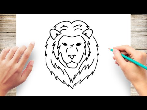 How to Draw a Lion Face Step by Step for Kids #Lion - YouTube