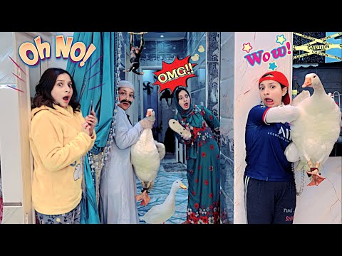 لما ابوك يكسب وزة وتشقلب البيت كله😂🦢|روان ستارز😍