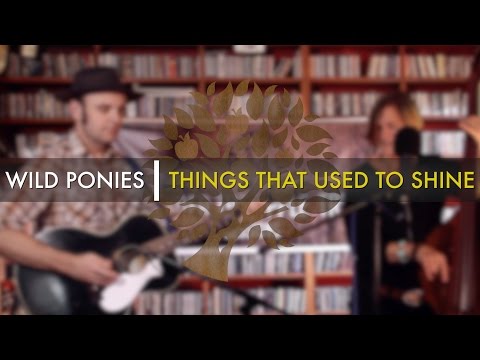 Wild Ponies   'Things That Used To Shine' | UNDER THE APPLE TREE