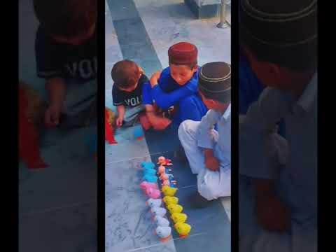 Ameer Haider khan Hoti Zama da Bache Ba tol omar da naseeb yee Che de ba wage harse #anp #bachakhan