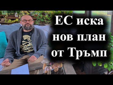 Европейски и американски представители ще обсъждат промени в плана за мир на Тръмп – 23.11.2025 г.
