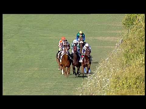 Galoppo 22/07/2020 - 2ª corsa