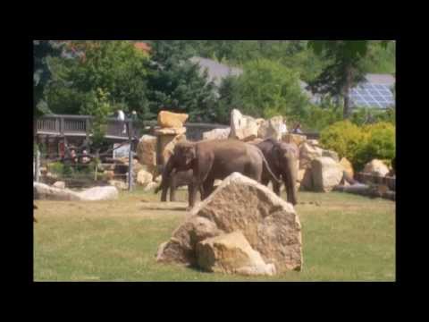 Výlet do ZOO Praha
