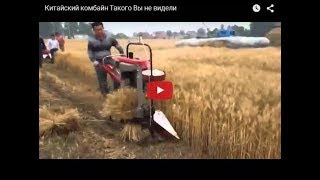 😁Приколы.Сельское хозяйство Китая. Приколы 2018. Лучшие приколы 2018. Свежие приколы 2018.