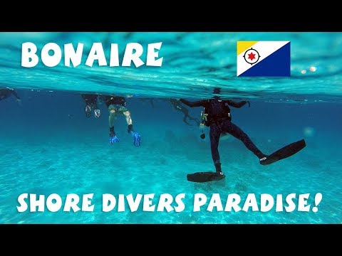 Bonaire: The ultimate Caribbean Shore dive destination!
