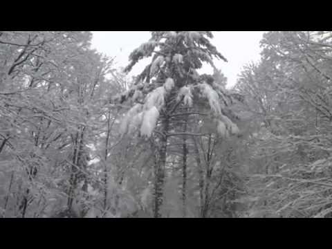 Високосный год - Музыка под снегом