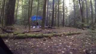 preview picture of video 'Bear walking through Red River Gorge KY Camp'
