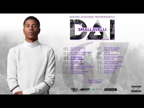 EP Sampler: Smallavelli - Dreams Acquired Independently “DAI” EP NU ONLINE 🔥