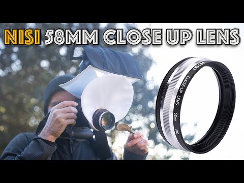 NiSi 58mm Close-up Lens Review: Upgrade your Macro Lens or convert your Zoom into a Macro