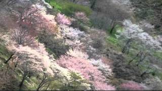 Russell Watson "Nella Fantasia"(Subtitulado al Español)