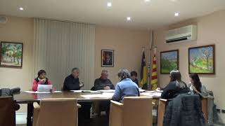 PLE ORDINARI 18/03/2019