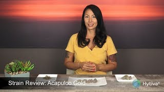 Strain Review: Acapulco Gold