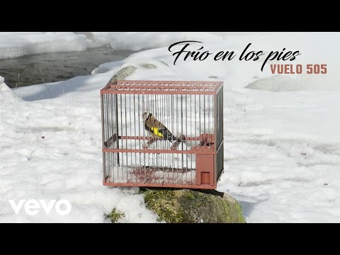 Miniatura de Vuelo 505 - Frío en los Pies ft. Kolibrí Díaz, Alén Ayerdi, Jose Javier Pintor
