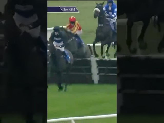 Thumbnail for Post ID: vAYqXsAo-rU