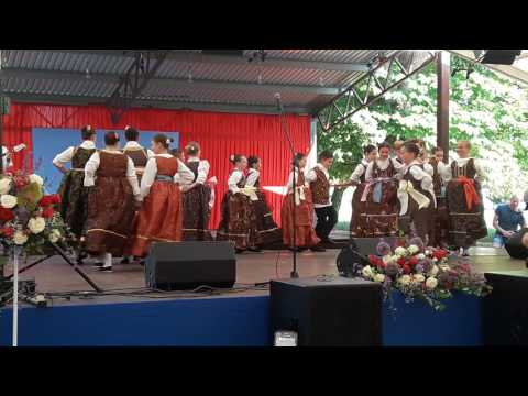 Kud "Januševec" i naši mali Bunjevci