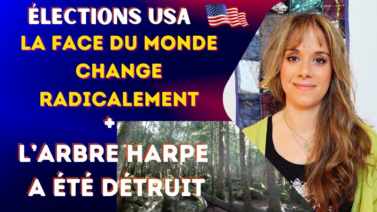 Élections US - La Face du Monde Change Radicalement + L’Arbre Harpe des Fées a été détruit !