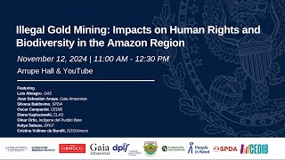 Illegal Gold Mining: Impacts on Human Rights and Biodiversity in the Amazon Region