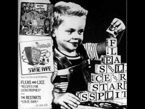 fleas and lice - shit for brains