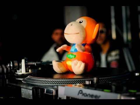 Tv SePluga - Low Friends 5 anos aftermovie