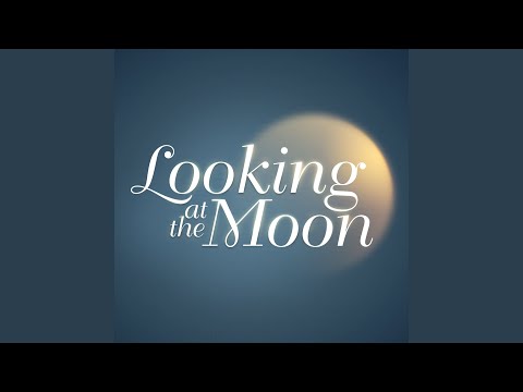 Looking At The Moon