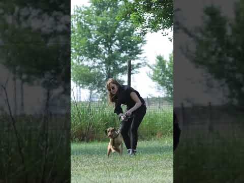 Video di PRALINA