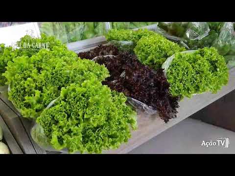 COPA SANTA FÉ/SICOOB 2023 - SEMIFINAL