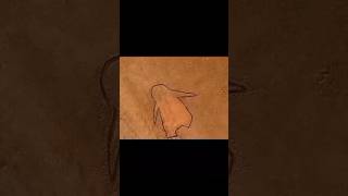 Download lagu 'petualangan hewan-hewan' #alurcerita #film #kartun #viral #videoshort mp3