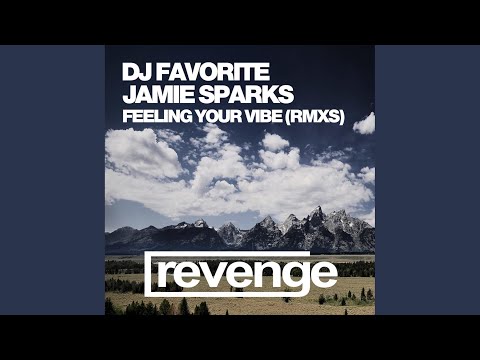 Feeling Your Vibe (Original Mix)
