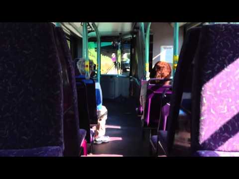 First Devon 33172 LR02LYP