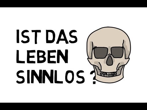 Wieso das Leben (k)einen Sinn hat