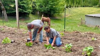 The Perfect Amount | Homestead Vlog | May 2, 2025