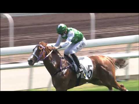 21/2/2021 (444) Pakistan Friend - T Piccone