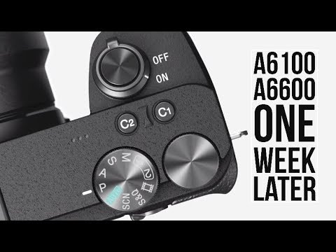 External Review Video vAbsv2CjhE8 for Sony A6100 APS-C Mirrorless Camera (2019)