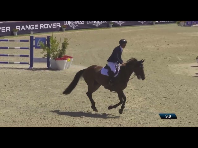 The grandmother of this frozen embryo is the CSI 1.60m jumping mare Gin Tonic van het Gerendal Z with rider Armando Trapote.