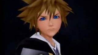 Seed We&#39;ve Sown&amp;Kingdom Hearts 2