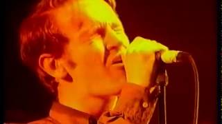 Gene - Truth Rest Your Head, Sleep Well Tonight + Olympian (The Loop)