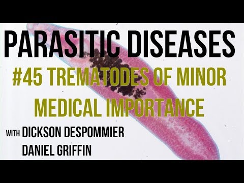 trematode paraziták emberben a tüdőbetegségek inváziója