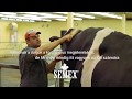 Semex HereEveryDay HUN