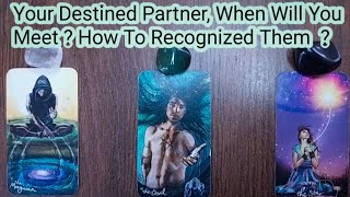 Your Destined Partner 🤔 When Will You Meet ?HINDI TAROT TIMELESS READING ✨💯