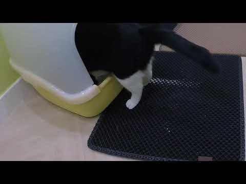 Se kattsandsamattan som slukar kattsand