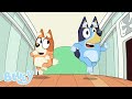 Yoga Ball Full Episode Bluey