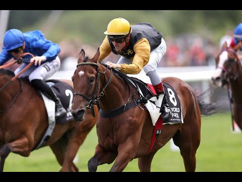 Japan Racing Association Trophy 2024: Narmada