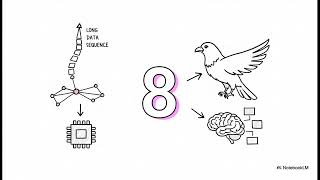 BigBird Explained | Google's Long-Context Transformer Model