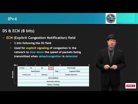 Lecture 10: IPv4 Protocol Deep Dive| Packet Structure and Routing| Basic to Advanced Features