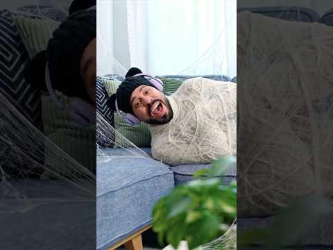 La Araña Gigante!🕷️