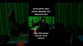 Download lagu derik detik Joko kendil menarik tali macan putih #jokokendil #shorts mp3