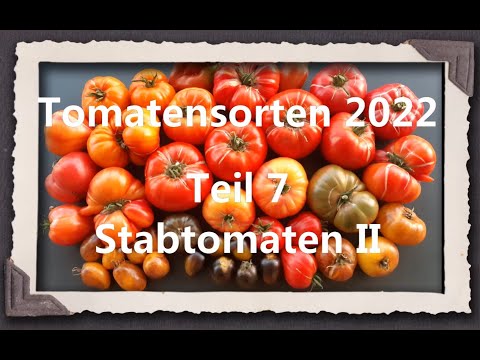 , title : 'Tomatensorten 2022 Teil 7 - Stabtomaten II'