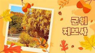 가을 정취가 물씬 나는 