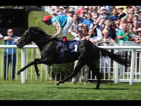 Baden-Baden: Preis der Stadtwerke Baden-Baden (D) - Sieger: Elias